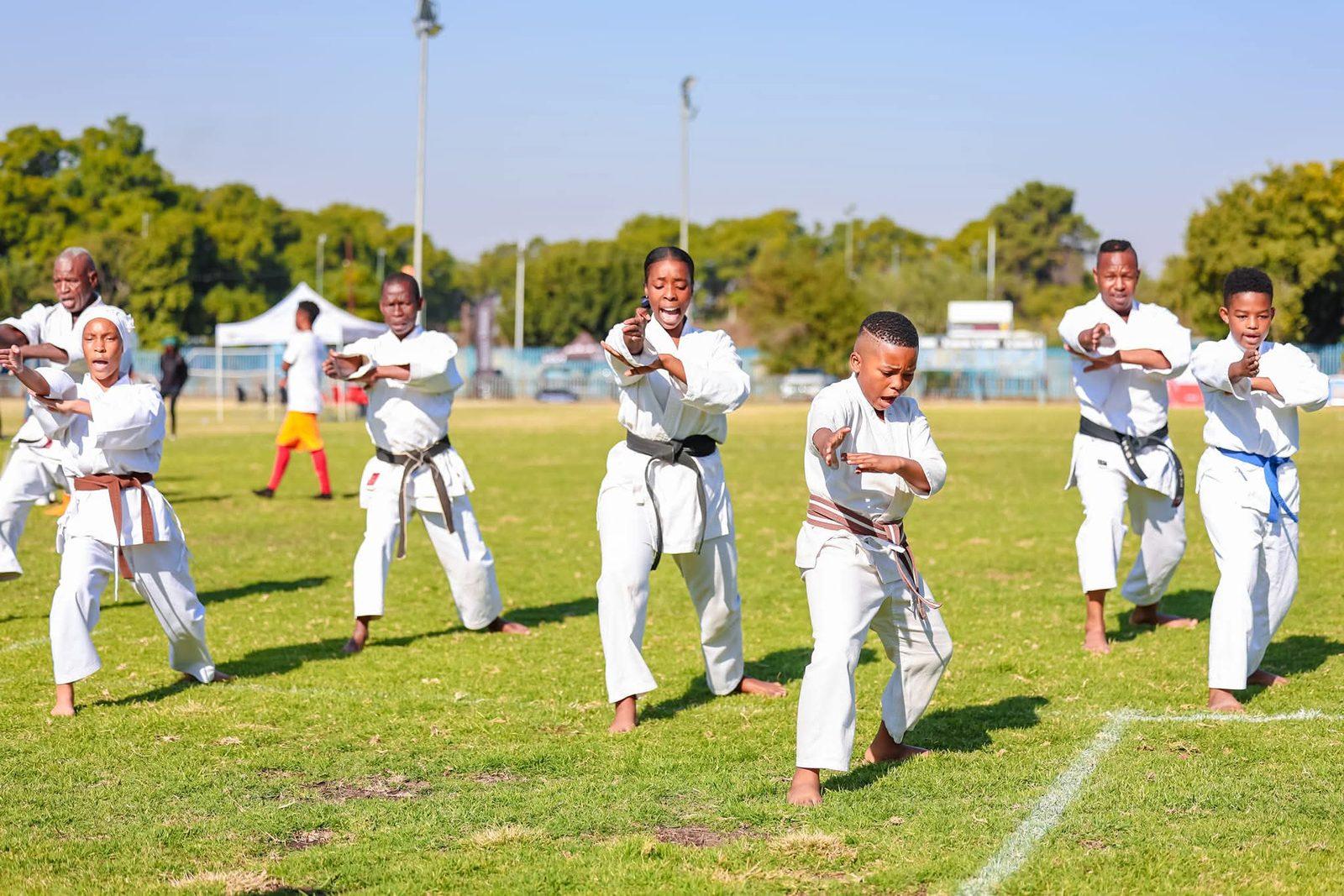 Karate display