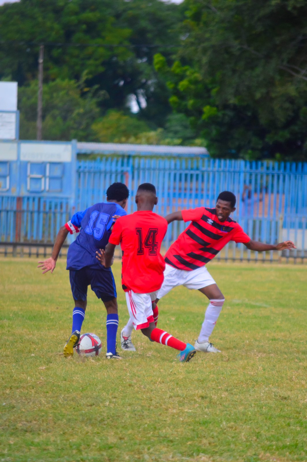 Soccer match
